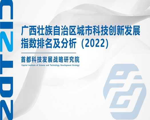 美女被操网址【成果发布】广西壮族自治区城市科技创新发展指数排名及分析（2022）